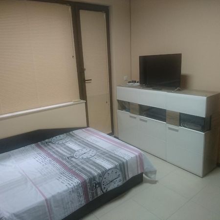 Studio Iren Apartamento Pleven Exterior foto